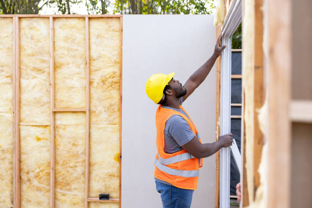 Best Home Insulation Services  in Jackson, MI