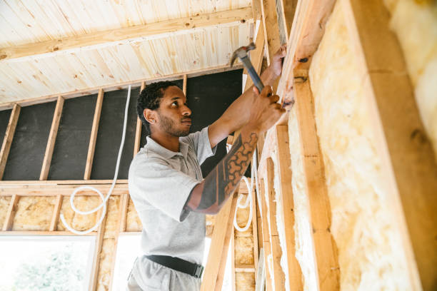 Best Insulation for New Construction  in Jackson, MI