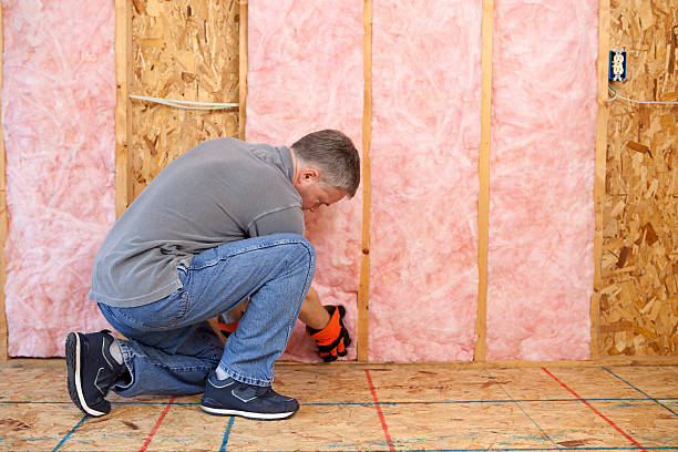 Best Residential Insulation Services  in Jackson, MI