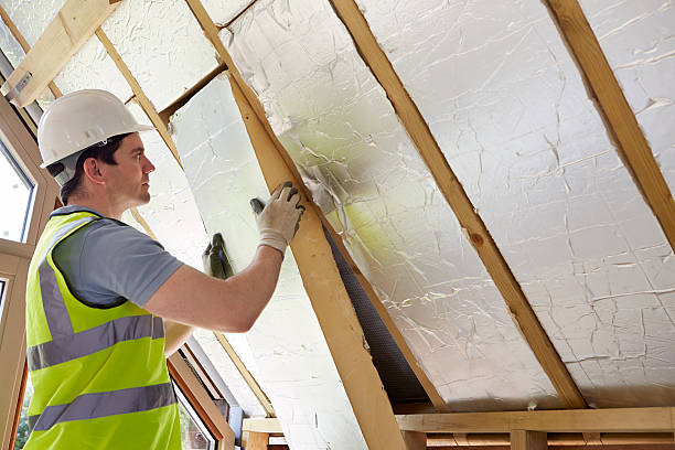 Best Energy-efficient Insulation  in Jackson, MI