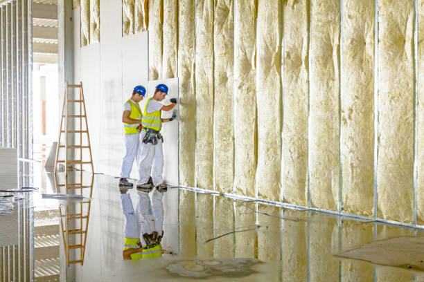 Best Cellulose Insulation  in Jackson, MI